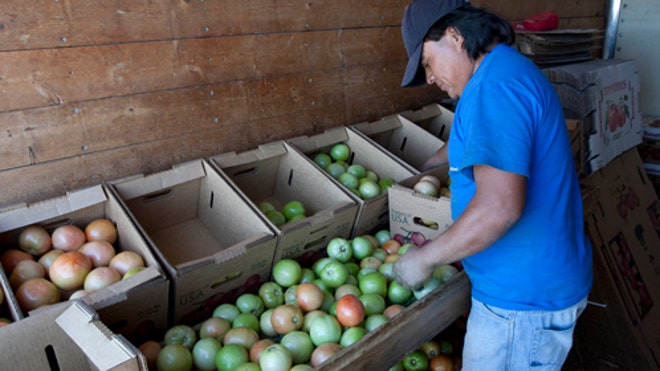 Alabama Immigration Farmer.jpg